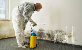 Best Asbestos and Lead Testing During Mold Inspection  in Heber Springs, AR